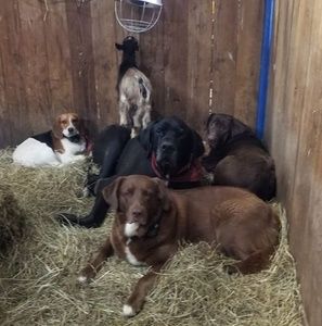 Meet your Posher, Lori